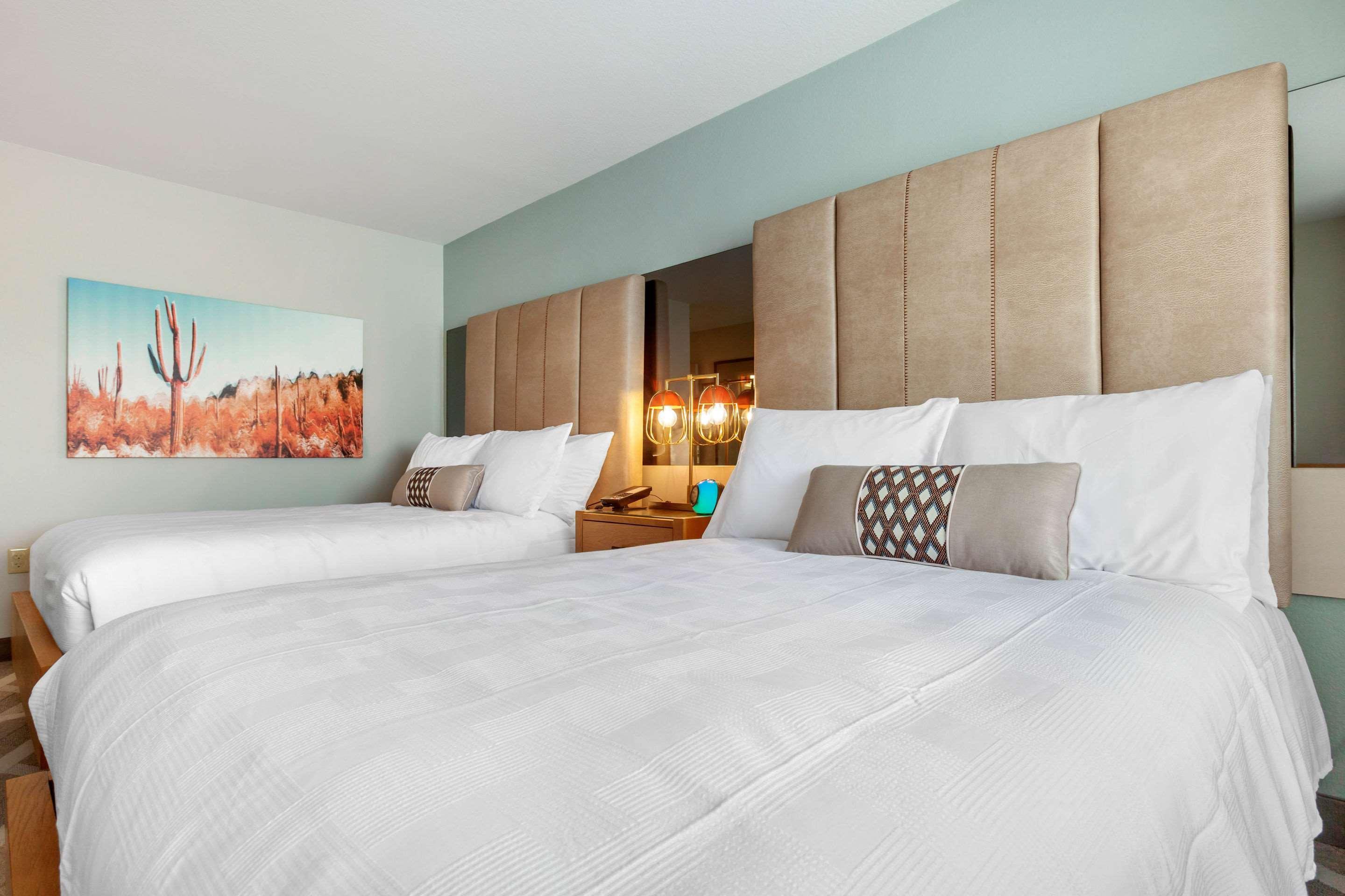 La Quinta Inn & Suites By Wyndham Tempe University, Phoenix מראה חיצוני תמונה